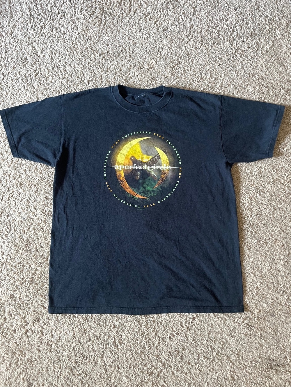 A Perfect Circle Y2K Vintage 2004 Thirteenth Step Tour Tee Snail Graphic Tee
